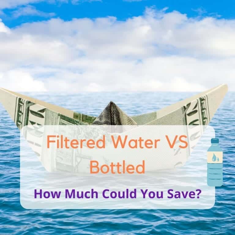 Water Filter vs Bottled Water Cost Calculation: How Much Could You Save?