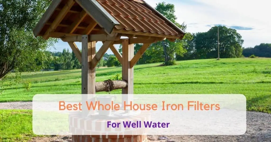 best iron filter for well water for the whole house