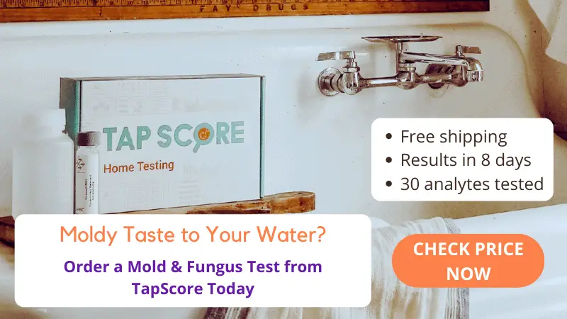 Mold Fungus Water Test 1