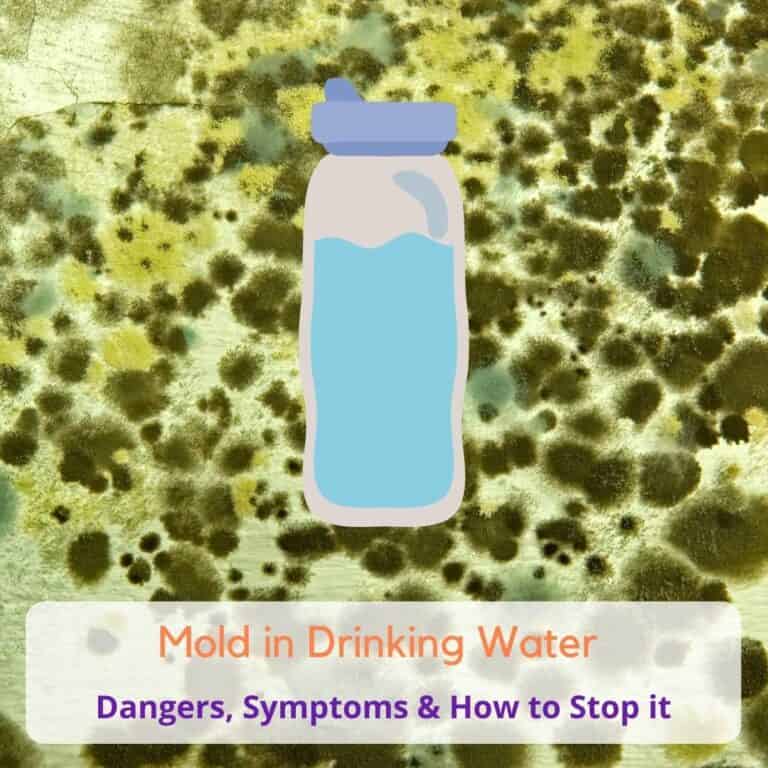 Mold in Drinking Water: Symptoms, Testing & Removal