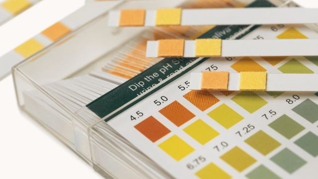 ph test strips for well water testing