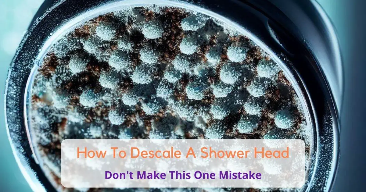 How to descale shower head - social (1200   630 px)
